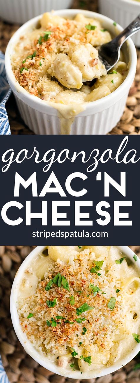 Creamy Gorgonzola Macaroni and Cheese with sweet caramelized leeks, salty pancetta, and a blend of three rich cheeses is an elegant twist on a comfort food classic. Don’t forget the cheesy, crunchy, buttery bread crumbs on top! Gourmet Mac And Cheese, Gorgonzola Sauce, Recipe Pasta, Gorgonzola Cheese, Superfood Recipes, Mood Food, Risotto Recipes, Recipe Community, Mac N Cheese Recipe