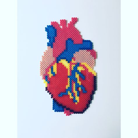 Science Perler Beads, Perler Bead Mario, Hama Art, Modele Pixel Art, Hamma Beads Ideas, Heart Anatomy, Pearl Beads Pattern, Perler Bead Templates, Diy Perler Bead Crafts