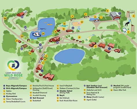 Illustrated Summer Camp Map | Behance Summer Camp Map, Summer Camp Layout, Camp Layout, Intentional Community, Map Layout, Illustrated Map, Map Design, Illustration Drawing, Summer Camp