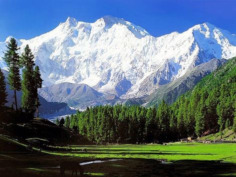 Himalaya Background, Nanga Parbat, Kashmir Tour, Relax Music, Labuan, Music For You, World Photography, Travel Alone, Beautiful Place