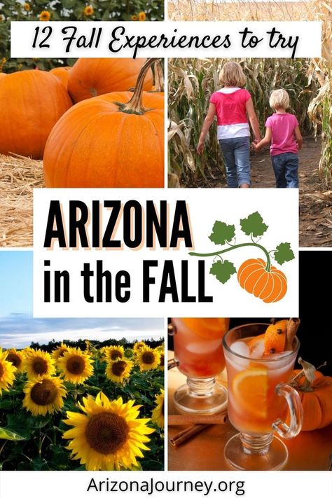 montage of 4 images-clockwise from upper left-pumpkins in a field, two young children walking through a corn maze, spiced apple cider in a mug, field of sunflowers Halloween In Arizona, Family Things To Do In Phoenix Arizona, Places To Go In Arizona, Fall In Arizona, Arizona With Kids, Arizona Activities, Things To Do In Arizona, Arizona Aesthetic, Hay Rides