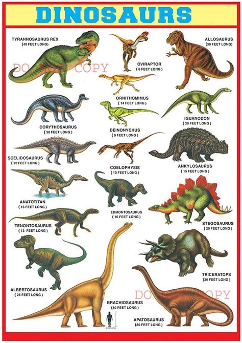 Names Of Dinosaurs, Types Of Dinosaurs, Animals Name In English, Dinosaur Facts, Dinosaur Alphabet, Dino Park, Pre Primary, Dinosaur Posters, Dinosaur Pictures