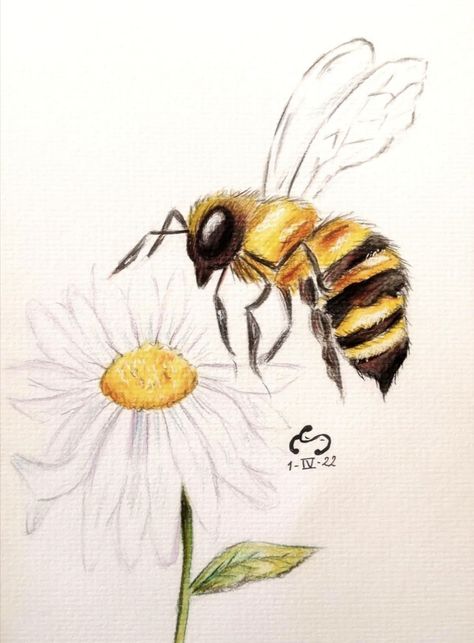 How To Paint Bumble Bees, Bumblebees Drawing, Bees And Flowers Drawing, Honey Bee Art Drawings, Bee And Flower Drawing, Beehive Painting Ideas, Drawing Of Bee, Drawings Of Bees, Bee Painting Acrylic