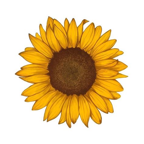 Sunflower Mosaic, Sunflower Illustration, Sunflower Drawing, Geometric Tattoos, Sunflower Pictures, Sunflower Tattoos, Sunflower Wallpaper, Graphic Design Fonts, Sunflower Art