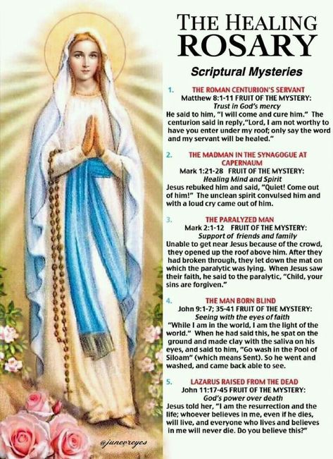 Blessed Virgin Mary Pictures, Virgin Mary Prayers, Mama Mary Blessed Mother, Mary Blessed Mother, Rosary Prayers Catholic, Catholic Prayers Daily, Catholic Beliefs, Virgin Mary Art, Mother Mary Images