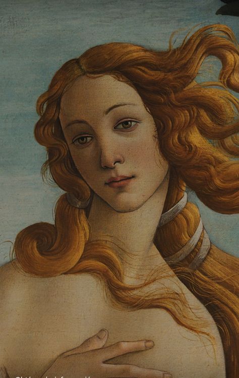 Venus Wallpaper, Aphrodite Altar, Venus Painting, Lady Aphrodite, Venus Art, Aphrodite Aesthetic, Aphrodite Goddess, Birth Of Venus, Wallpapers Phone