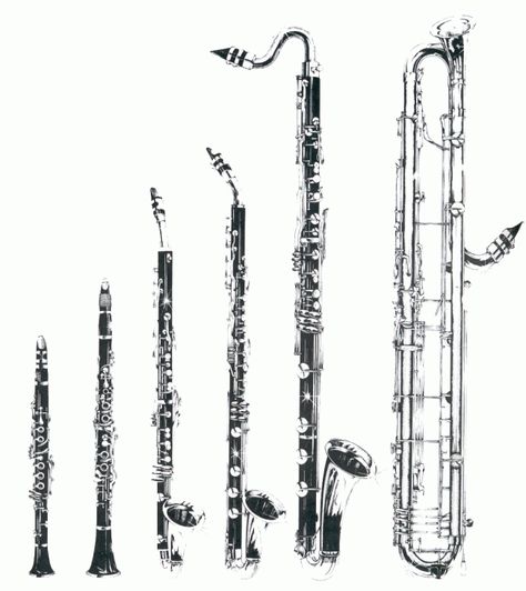 clarinet family Instruments Of The Orchestra, Alto Clarinet, Instrument Families, Clarinet Music, Clarinet Sheet Music, Band Jokes, Woodwind Instrument, Music Jokes, Bass Clarinet