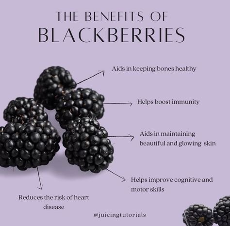 Blackberries Benefits, Blackberry Benefits, Strawberry Health Benefits, Benefits Of Berries, Black Berries, Vegetable Benefits, Holistic Health Remedies, Fruit Benefits, Juice Recipes