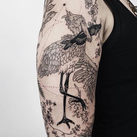 Shoebill stork holding ginger and catfish with creosote, coffee, pine cones, and rosemary. Thanks Katrina! 🌵🌲 . . . . . . #blackworkerssubmission #skinartmag #blxckink #tttism #blacktattooart #btattooing #tattoodo #tattrx #equilattera #geometrytattoo #nyctattoo #newyorktattoo #brooklyntattoo #naturetattoo #iblackwork #planttattoo #flowertattoo #floraltattoo #botanicaltattoo #lovettt #darkartists #tonoinsptattoos #tatuajes #tattoos Stork Tattoo, Pony Reinhardt Tattoo, Pony Reinhardt, Marine Tattoo, Shoebill Stork, Celestial Tattoo, Nyc Tattoo, Geometry Tattoo, Plant Tattoo