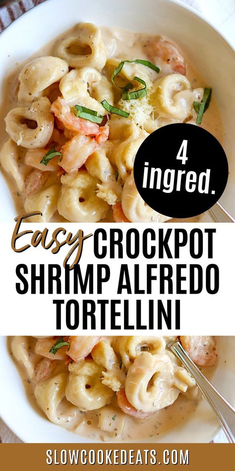 This delicious Crock Pot Shrimp Alfredo tortellini is a guaranteed crowd-pleaser! And the best part? It's super easy to make! This creamy, cheesy dish features the classic Alfredo sauce combined with shrimp and tortellini that's cooked right in the pot. You'll have a hearty, hearty dinner ready with only 4 ingredients and slow cooker! Crockpot Meals With Tortellini, Slow Cooker Alfredo Tortellini, Chicken And Shrimp Alfredo Crockpot, Pescatarian Crock Pot Recipes, Shrimp Easy Dinner, Seafood Pasta In Crockpot, Shrimp Alfredo Pasta Crockpot, Crockpot Seafood Alfredo, Seafood Pasta Crockpot