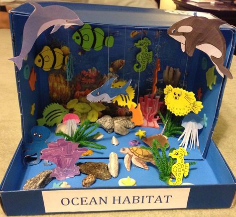 "My" first grade project: Ocean habitat Diorama. Ocean Diorama, Biomes Project, Diorama Kids, Ecosystems Projects, Habitats Projects, Ocean Habitat, Ocean Projects, Ocean Ecosystem, Sea Crafts