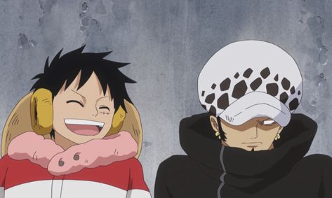 Trafalgar D Water Law, One Piece Hoodie, One Piece Gif, Tony Tony Chopper, One Piece Shirt, Snk Cosplay, Tony Chopper, Haikyuu Karasuno, One Piece Ship