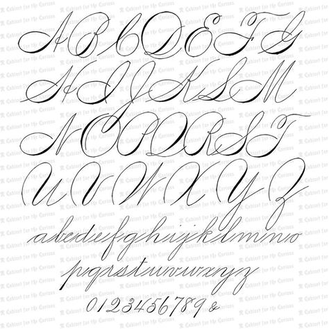 "ladies Hand" Style Of Spencerian Script. Quite Exquisite! 550 1800s Typography, Spencerian Handwriting, Calligraphy Alphabet Tutorial, Calligraphy Writing Styles, Letters Vintage, Clipart Letters, Tattoo Fonts Cursive, Graffiti Art Letters, Fancy Writing