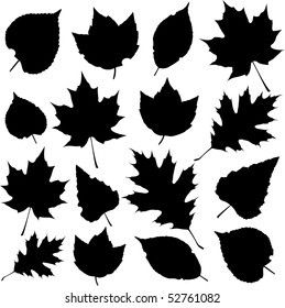 Tree Id, Leaf Silhouette, Wood Burning Crafts, Autumn Leaf, Display Design, Graphic Design Art, Line Drawing, Autumn Leaves, Design Art