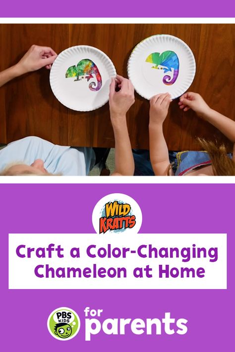 A Color Of His Own Craft, Chameleon Art Project, Chameleon Activities For Preschool, Chameleon Craft Preschool, A Color Of His Own Activities Preschool, Chameleon Art Projects For Kids, Chameleon Crafts For Kids, The Mixed Up Chameleon Activities, Chameleon Activities