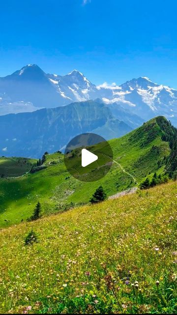 ZENWANDER • Travel Tips & Guides on Instagram: "🇨🇭DETAILS HERE👇 

🇨🇭Schynige Platte Panorama Ridge Trail is a scenic ridge hike in one of the most famous regions in Switzerland, Jungfrau, close to Interlaken, offering picturesque views of both the mountains and beautiful Brienzersee.

🚂Take the cute cogwheel mountain train from the Wilderswil train station to Schynige Platte (going up, the ride side has the best views). Return journey costs 64 CHF for adults, or 32 CHF with Halbtax.

🎶Upon arriving at Schynige Platte, you will be greeted with Swiss traditional Alphorn music. 

🏔️At the Schynige Platte train station you will find a map showing the trails in this region. We took the Panoramaweg Loucherhorn loop trail, ~6 km (2h/2h30m depending on the pace). Most of the beautiful view Panorama Ridge, Interlaken, Beautiful View, Train Station, Beautiful Views, Nice View, The Mountain, Switzerland, Travel Tips