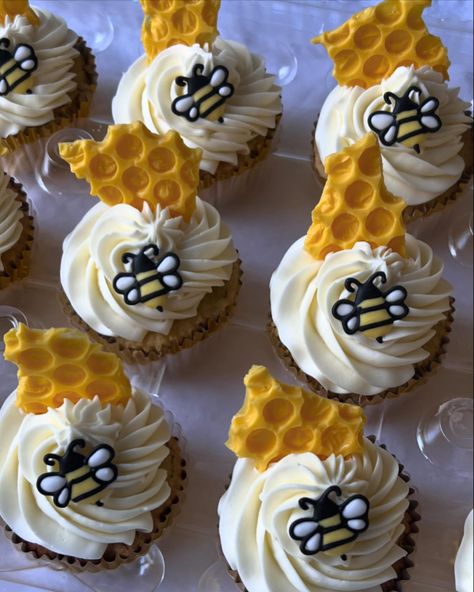 Chocolate + Funfetti cupcakes for a Winnie the Pooh order 🐝 . . . . . #babyshower #bees #winniethepooh #babyshowerideas #inspo #dessert #desserts #dessertporn #food #foodporn #foodphotography #foodstagram #feedfeed #feedfeedbaking #baltimore #baltimorebaker #bakery #yum #yummy #fyp #supportlocal #supportsmallbusiness Winnie The Pooh Baby Shower Cupcakes, Winnie The Pooh Cupcakes, Appreciation Themes, Teacher Appreciation Themes, Nikki Baby, Pie Decoration, Funfetti Cupcakes, Honey Cake, Bee Baby