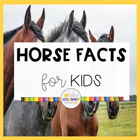 Learn about horses and ponies with these fun and easy horse facts for kids. Plus get your printable worksheets about horses for kids.... #horses #factsforkids Horse Art Projects For Kids, Horse Games For Kids, Horse Activities For Preschool, Horse Facts For Kids, Horse Crafts For Kids, Horse Activities For Kids, Horse Worksheets, Horse Camp Crafts, 4-h Poster Ideas