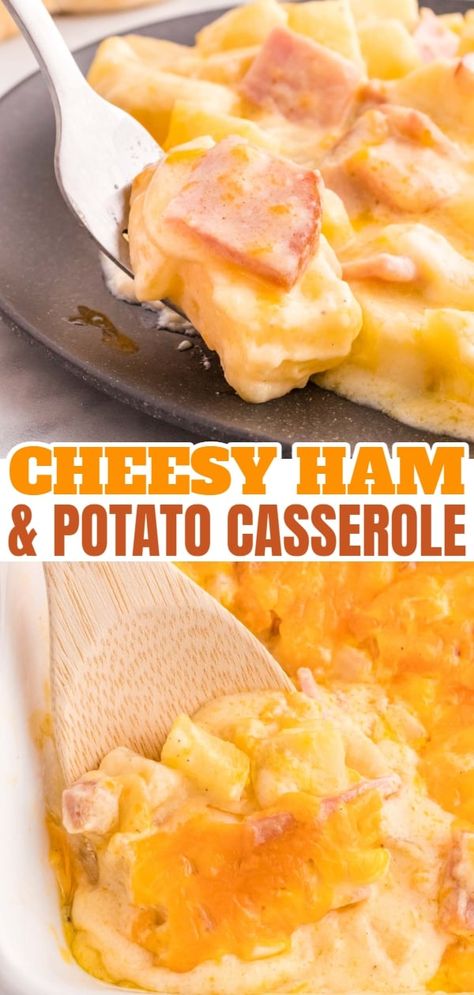 Ham And Cheese Potatoes, Easy Scalloped Potatoes And Ham, Recipes With Diced Ham, Cheesy Scalloped Potatoes And Ham, Ham Potato Casserole, Ham Meals, Cheesy Ham And Potato Casserole, Ham And Potato Recipes, Cheesy Ham Casserole