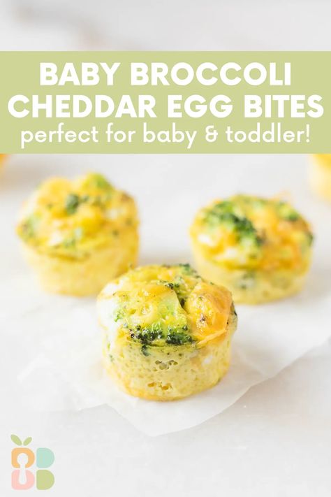 Broccoli cheddar egg bites made in mini muffin tins are a healthy and delicious breakfast or snack full of veggies that are great for baby led weaning and toddlers! Cheddar Egg Bites, Bliss Aesthetic, Broccoli Cheddar Bites, Croissants Breakfast, Baked Egg Muffins, Mini Muffin Tin Recipes, Toddler Muffins, Baby Muffins, Weaning Foods