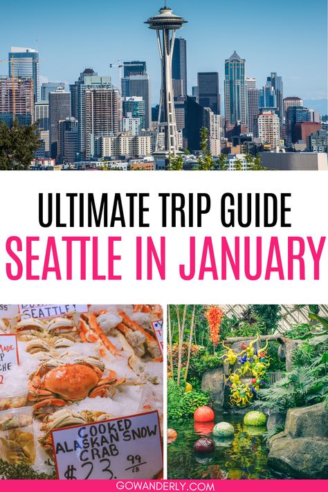 14 must-do activities in Seattle during January, perfect for your winter visit to the Emerald City. Seattle In January, Seattle In December, Seattle Winter, Rain And Coffee, Seattle Waterfront, Woodland Park Zoo, About Rain, Tinted Glasses, Evergreen State