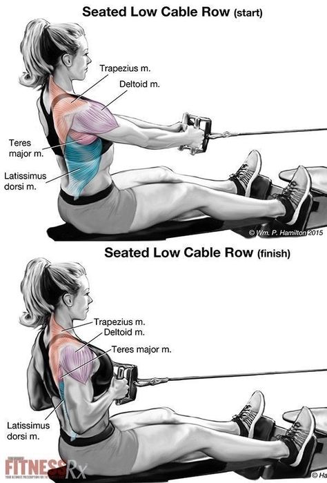 Cable Machine Workout, Seated Row, Cable Workout, Rowing Workout, Cable Row, Cable Machine, Rowing Machine, Gym Workout Tips, Back Exercises