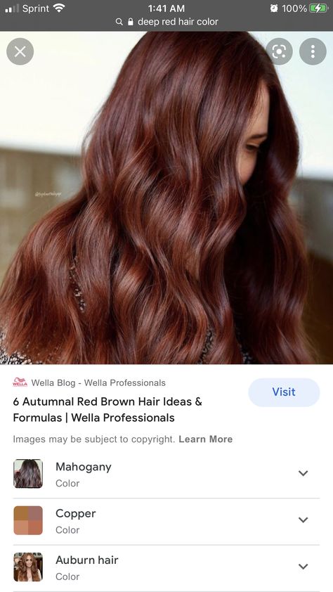 Deep Red Hair Color, Chilli Chocolate, Deep Red Hair, Angled Bob Hairstyles, Hair Color Chocolate, Chocolate Hair, Dark Red Hair, Red Brown Hair, Angled Bob