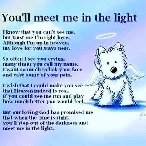 Losing A Dog Quotes, Dog Heaven Quotes, Farewell Message, Dog Poems, Heaven Quotes, Dog Heaven, Inspirational Prayers, Losing A Dog, Losing A Pet