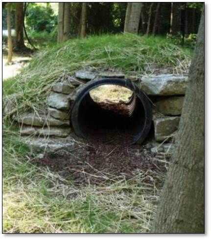 Rabbit Playground Outdoor, Diy Rabbit Tunnel Outdoor, Bunny Tunnel Diy, Wild Bunny House Outdoor, Outdoor Rabbit Colony Enclosure, Bunny Tunnel, Outdoor Rabbit Run, Rabbit Tunnel, Bunny Sheds