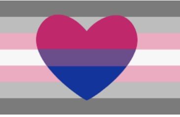 Demigirl Flag Aesthetic, Demigirl Art, Demi Girl Flag, Demigirl Flag, Demi Girl, Girl Symbol, Bi Flag, Bisexual Flag, Lgbtq Flags