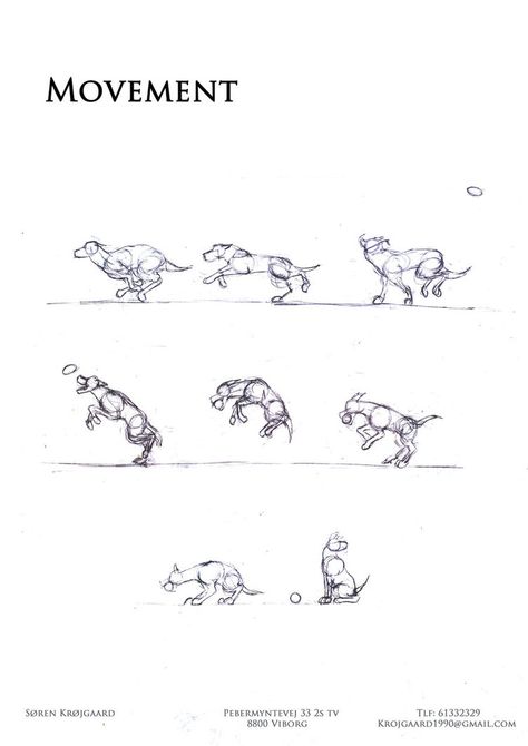 Dog Movement Drawing, Dog Animation Reference, Dogs Running Illustration, Dog Run Cycle, Dog Walking Drawing, Dog Running Drawing, Dog Leash Pulling, Jump Animation, Running Drawing