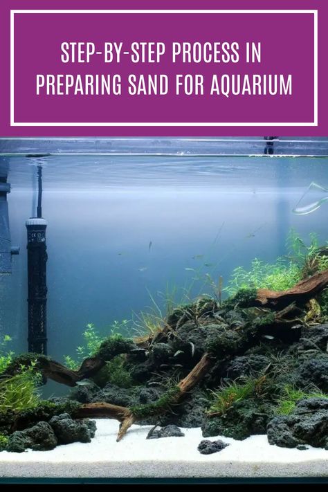 Sand has a lot of benefits for fish, plants, and equipment. But how can you prepare sand? In this article, you'll learn everything you need to know about preparing the right kind of sand for your tank. #aquariumcare #aquariumsand Sand Fish Tank, Sand Aquarium, Self Cleaning Fish Tank, Saltwater Aquarium Beginner, Axolotl Tank, What Else Can An Lg. Aquarium Be Used For, Aquarium Substrate, Aquarium Sand, Community Tanks