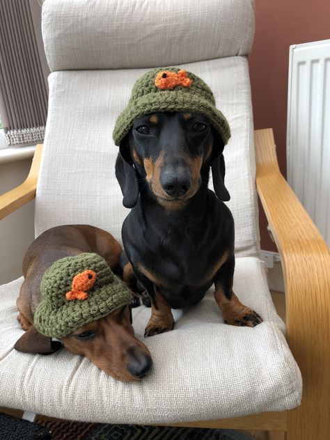 Crochet Dog Sweaters, Crochet Dog Hats, Crochet Dog Hat, Crochet Dog Clothes, Dachshund Clothes, Cat Scarf, Crochet Dog Sweater, Cat Halloween Costume, Crochet Dog Patterns