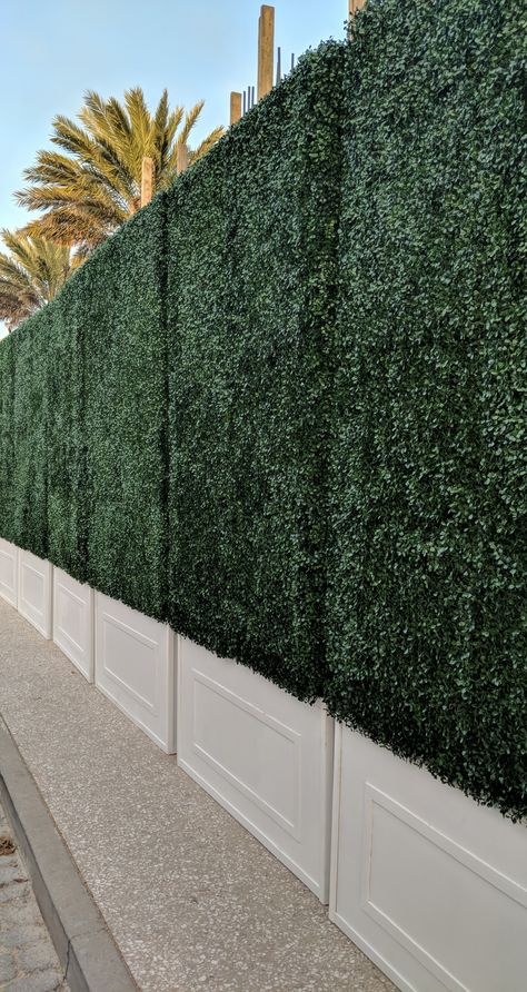 Boxwood Walls Boxwood Fence, Hedge Wall, Wedding Outdoors, Garage Game Rooms, Wedding Stage Backdrop, Stage Backdrop, Wedding Stage, Barbados, Hedges