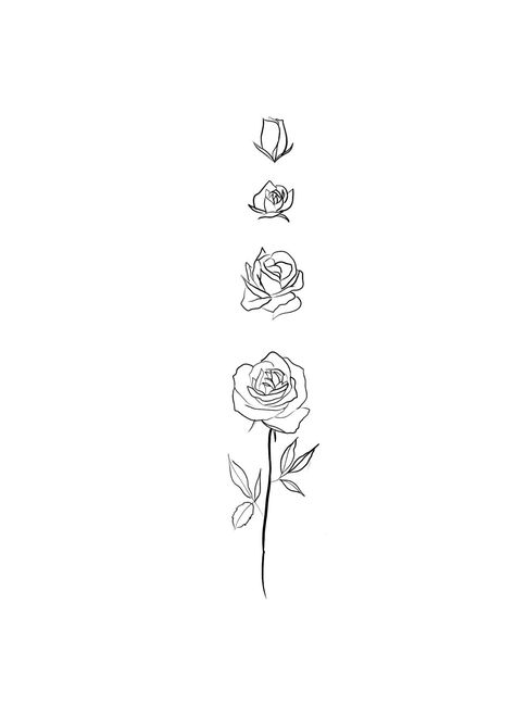 Fine Line Rose Spine Tattoo, Rose Growing Tattoo, Rose And Rose Bud Tattoo, Rose Bud Drawing Simple, Rose Fine Line Drawing, Fine Line Girly Tattoos, Rose Vine Spine Tattoo, Mini Arm Tattoos For Women, Line Spine Tattoos For Women