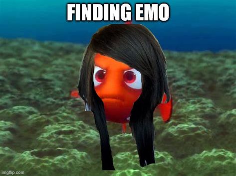 Finding Emo, Emo Pics, Emo Nemo, Funny Funny, Pixar, Google Search, Memes, Funny, Quick Saves