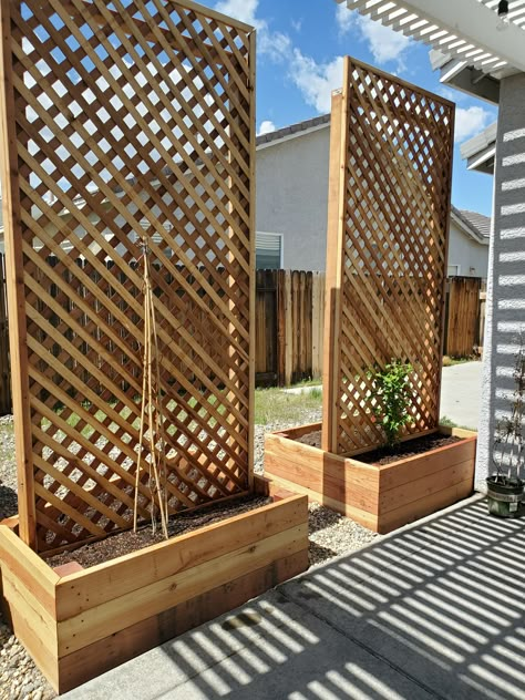 Kentucky Wisteria, Homemade Trellis, Backyard Trellis, Patio Trellis, Privacy Planter, Trellis Garden, Garden Privacy Screen, Trellis Ideas, Wooden Trellis