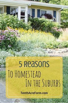 Modern homesteading is the act of transforming a household from a unit of consumption to a unit of production. Here are 5 reasons why homesteaders in the suburbs are making the switch. Homestead Garden Layout, Modern Homesteading, Homesteading Diy, Luxury Landscaping, Homestead Gardens, Homesteading Skills, Homestead Living, Urban Homesteading, Backyard Farming