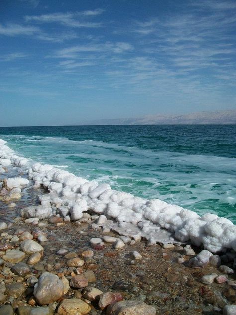 Ein Gedi Beach, Dead Sea, Israel Wave Barrel, Ein Gedi, Girl Surfing, Swimming Party, Surf Photography, Surf Fishing, Surfer Style, Scenery Pictures, Surf Lifestyle