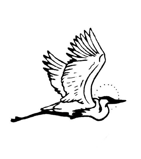 Heron Embroidery, Pinegrove Tattoo, Drawing Freedom, Loon Tattoo Ideas Design, Blue Heron Tattoo, Heron Illustration, Seagull Tattoo, Heron Tattoo, Soft Tattoo