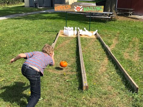 Pumpkin Bowling Game Fall Festivals, Corn Maze Activities, Corn Maze Ideas Activities, Agritourism Activities, Pumpkin Patch Activities, Pumpkin Bowling, Pumpkin Patch Farm, Fall Festival Games, Fall Harvest Party