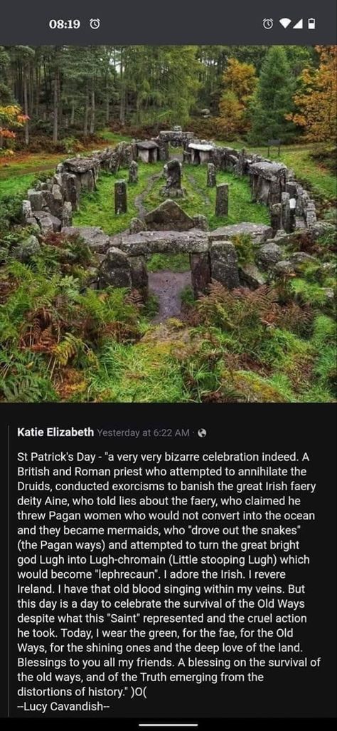 Celtic Myth, Celtic Druids, Ancient Ireland, Irish Folklore, Cool History, Old Blood, Legends And Myths, Celtic Mythology, Kitchen Witch