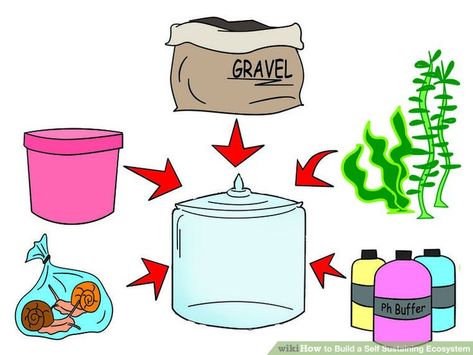 Image titled Build a Self Sustaining Ecosystem Step 5 Self Sustaining Ecosystem, Ecosystems Projects, Build A Terrarium, Self Sustaining, Primary Science, Aquatic Ecosystem, Marine Ecosystem, Teaching Science, School Subjects