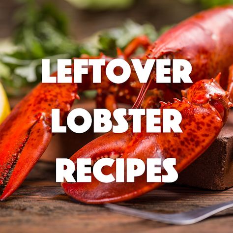 Leftover Lobster Recipes: Easy Rolls, Bisque, & More Leftover Lobster Recipes, Leftover Lobster, Lobster Recipes Easy, Iced Matcha Latte Recipe, Lobster Chowder, Lobster Bisque Recipe, Lobster Risotto, Lobster Pasta, Matcha Latte Recipe