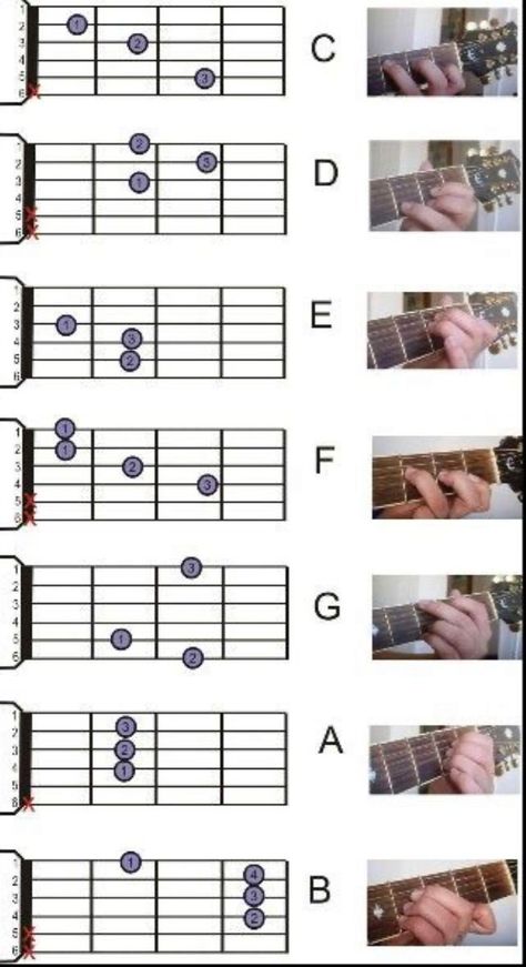 Basic Guitar Chords Chart, Akordy Na Ukulele, Gitar Vintage, Bass Guitar Chords, Acoustic Guitar Chords, Chords Guitar, Guitar Cord, Learn Guitar Chords, Basic Guitar Lessons