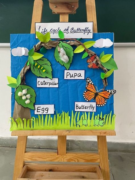 Caterpillar Projects For Preschool, Caterpillar Becomes Butterfly, Insects Preschool Activities Science, Butterfly Model School Project, Butterfly Lifecycle Preschool, Plant Toddler Activities, Butterfly Cycle Craft, Butterfly Projects For Preschool, Caterpillar Life Cycle Preschool