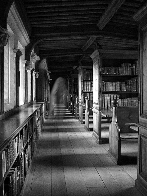 The 10 Most Haunted Libraries In America Creepy Library Aesthetic, Ghost In Library, Ghost Library, Haunted Library Aesthetic, Spooky Library, Haunting Aesthetic, Haunted Aesthetic, Haunted Library, Ghost Aesthetic