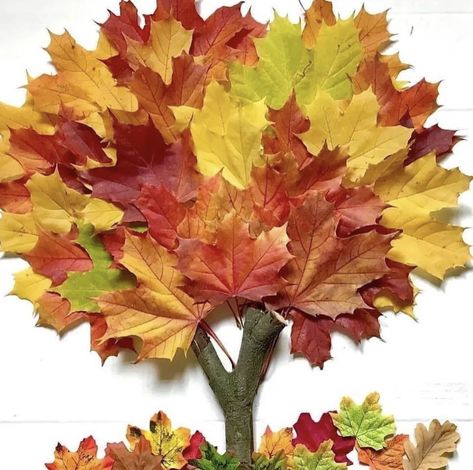 Leaf Art Diy, Dry Leaf Art, Autumn Leaves Craft, Fall Drawings, Fall Decor Diy Crafts, Pressed Flower Crafts, Fall Arts And Crafts, Hand Crafts For Kids, Leaf Crafts