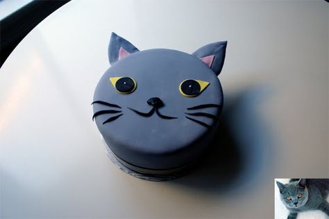 Grey Cat! cake Cat Cake Ideas, Cat Bday, Coco Cake, Cat Cakes, Food Monster, Girls Birthday Cakes, Birthday Cake For Cat, Cake Land, Blue And Silver Nails