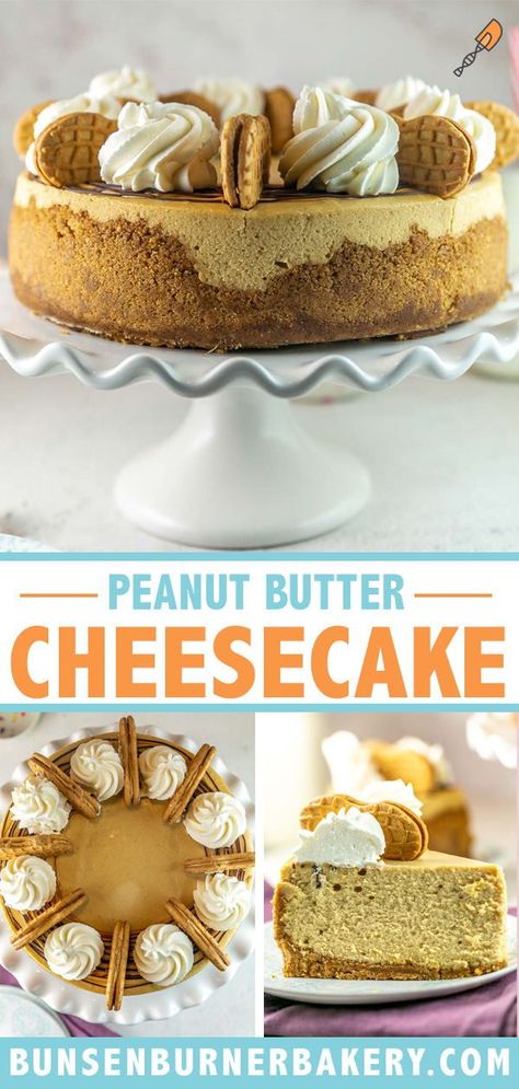 Peanut Butter Pie Cheesecake, Peanut Butter Confetti Cheesecake, Peanut Butter Cookie Dough Cheesecake, Nutter Butter Cheesecake Recipes, Cheesecake Recipes Peanut Butter, Nutter Butter Cheesecake, Nutter Butter Dessert, Peanut Butter Cookie Crust, Nutter Butter Crust